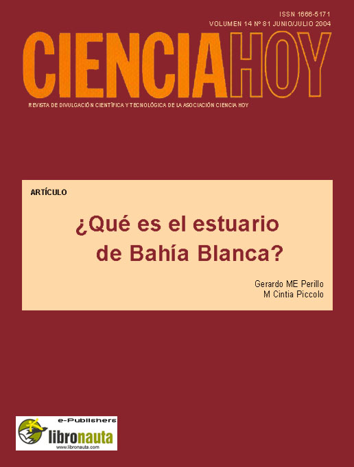 Title details for ¿Qué es el estuario de Bahía Blanca? by Gerardo ME Perillo - Available